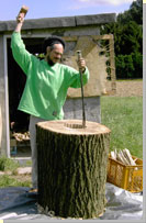 deep-rooted: aushhlen eines baumstammes
