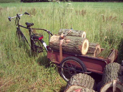 deep-rooted: trommelholz